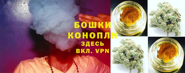 дурь Арсеньев
