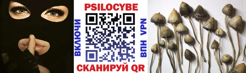 как найти   Талица  Псилоцибиновые грибы мухоморы 